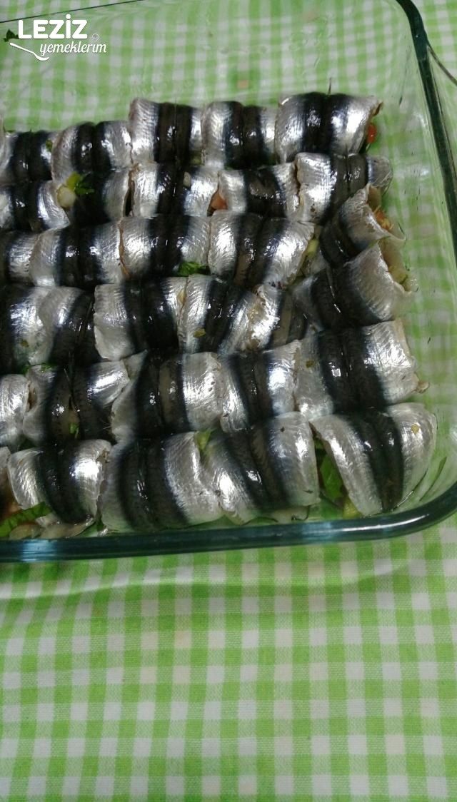 Hamsi Dolma
