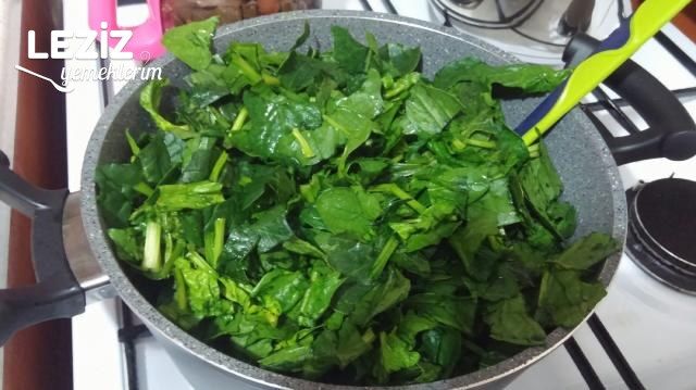 Tavuklu Ispanak Graten