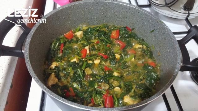 Tavuklu Ispanak Graten