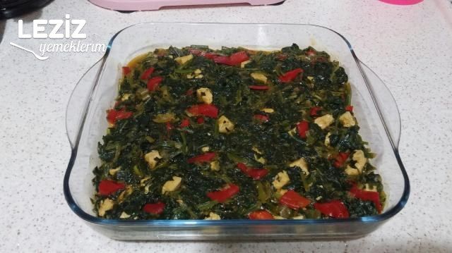 Tavuklu Ispanak Graten