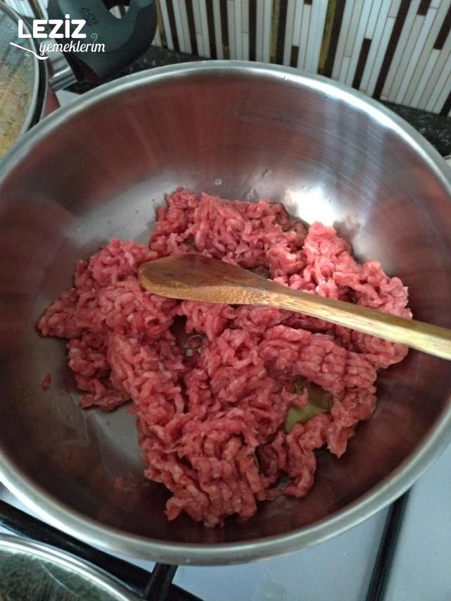 Patlıcan Oturtma Yapımı