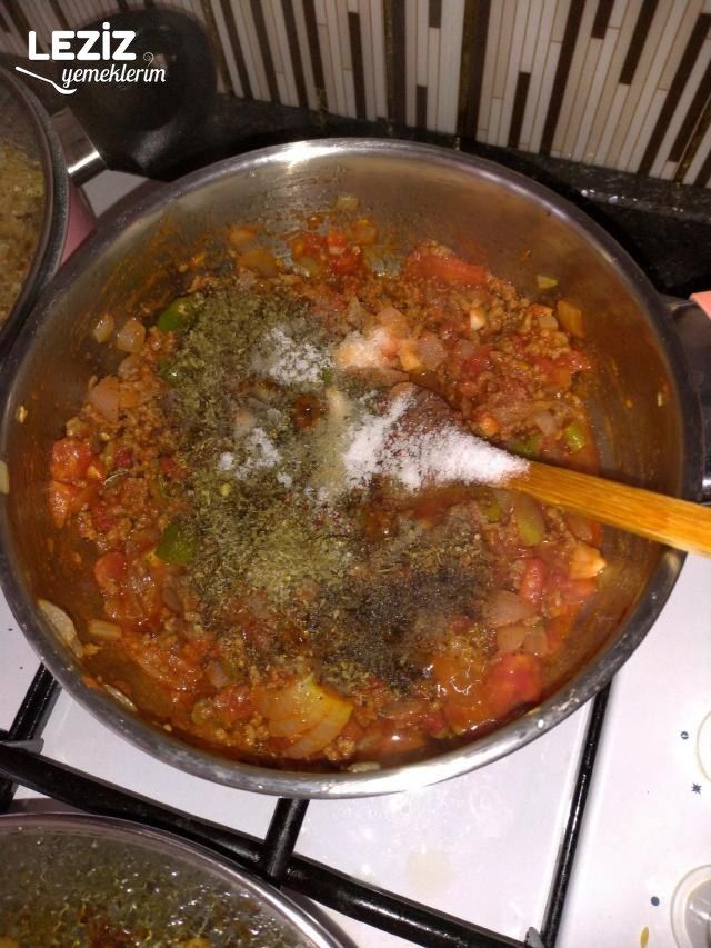 Patlıcan Oturtma Yapımı