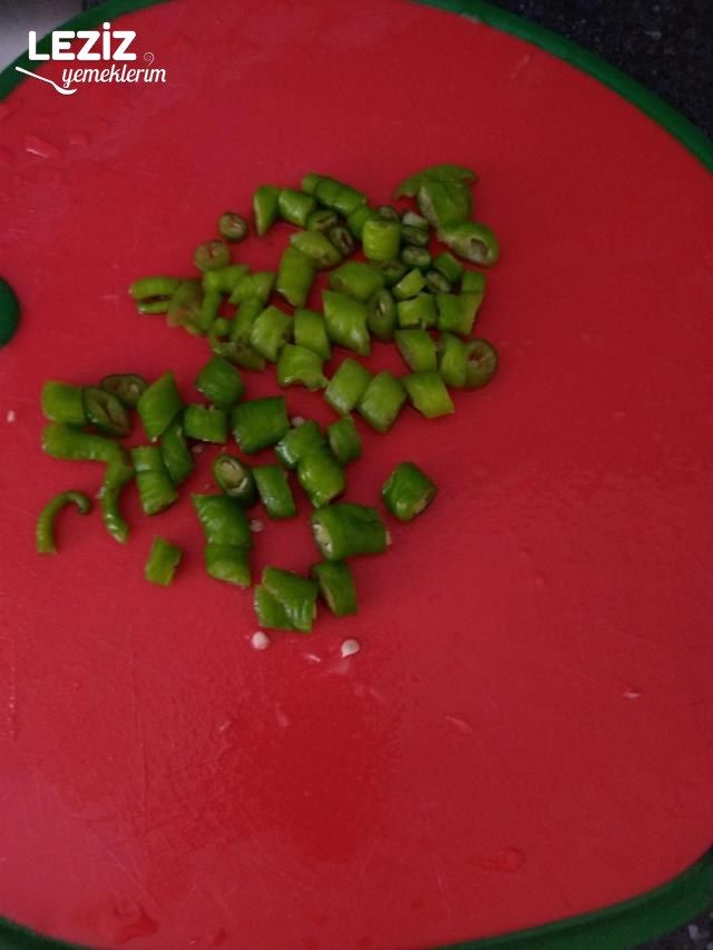 Patlıcan Oturtma Yapımı