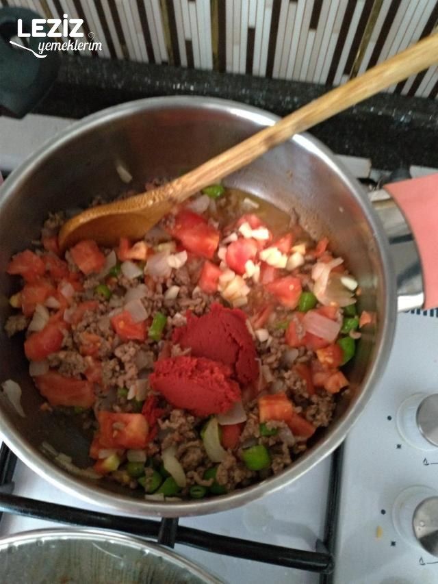 Patlıcan Oturtma Yapımı