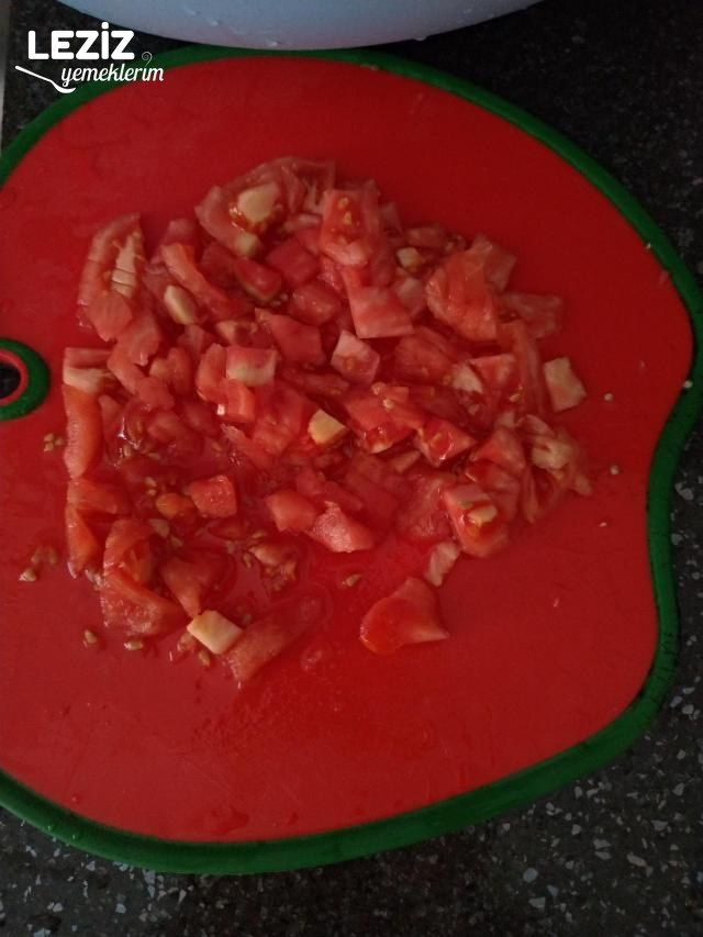 Patlıcan Oturtma Yapımı