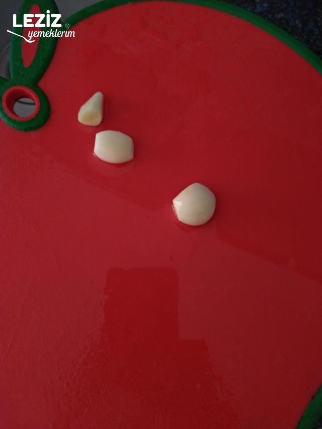 Patlıcan Oturtma Yapımı