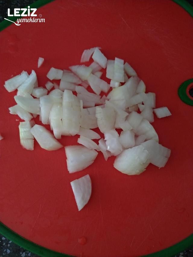 Patlıcan Oturtma Yapımı