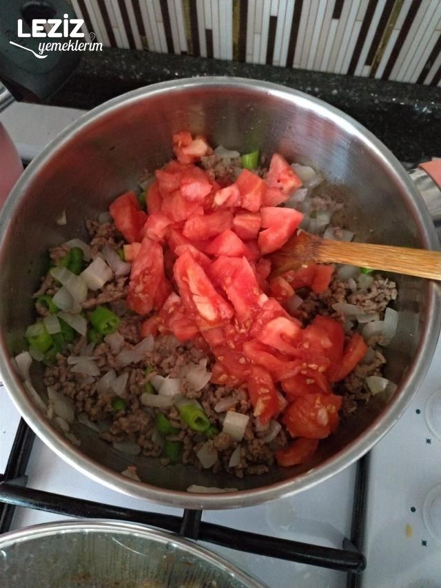 Patlıcan Oturtma Yapımı