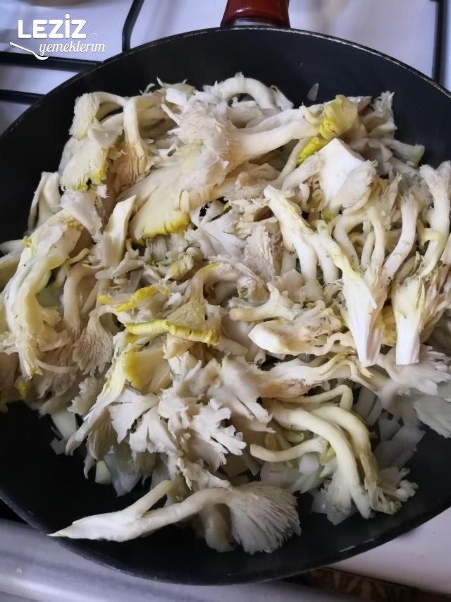 İstiridye Mantarı Kavurması (Et Gibi)