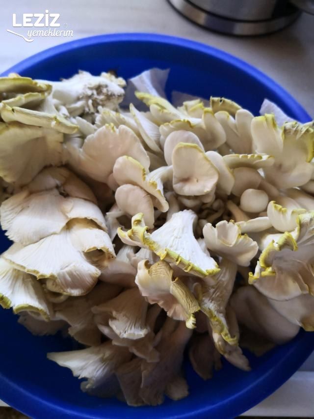 İstiridye Mantarı Kavurması (Et Gibi)