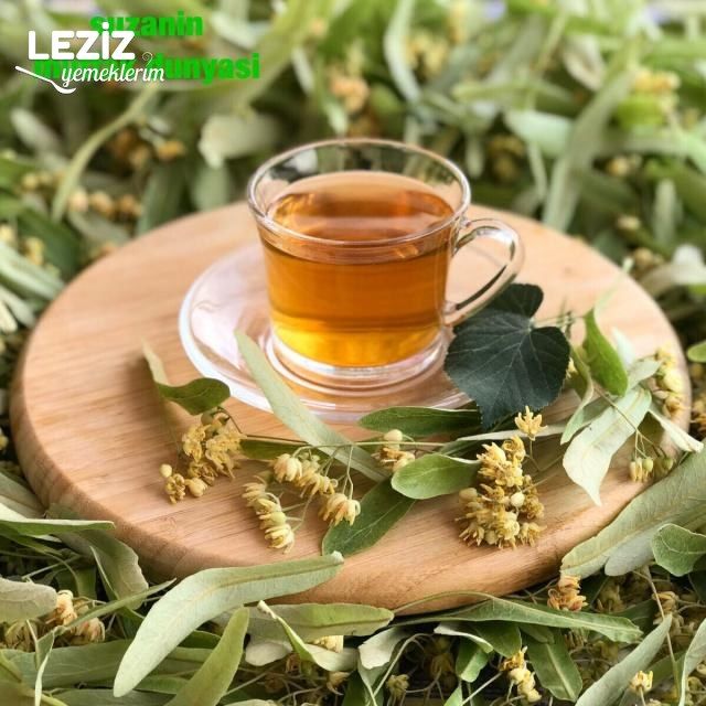 Ihlamur Hakkında Genel Bilgiler