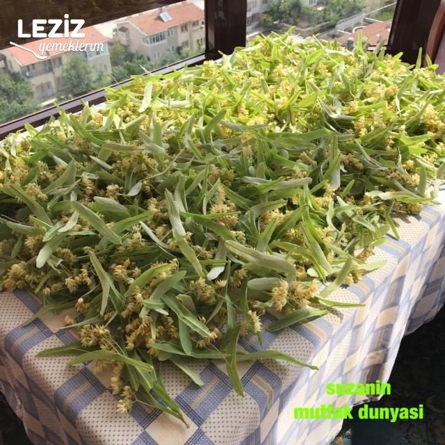 Ihlamur Hakkında Genel Bilgiler