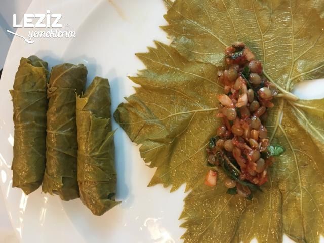 Yeşil Mercimekli Yaprak Sarması
