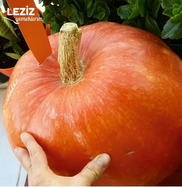 Çocuklar İçin Bol Vitaminli Besleyici Bal Kabağı Yemeği