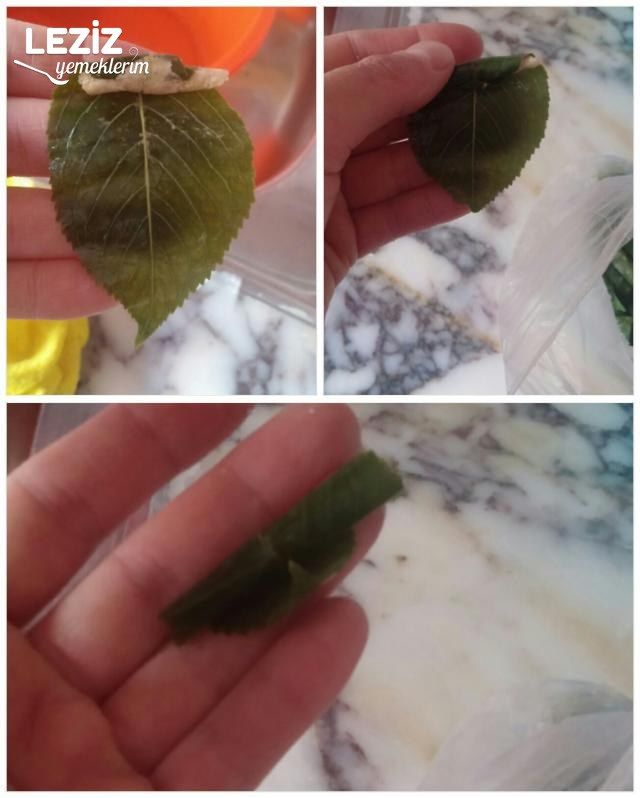 Buzluk İçin Kiraz Yaprağı (Malatya Yöresi)