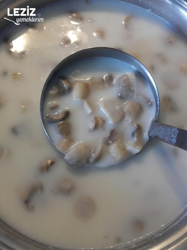 Terbiyeli Mantar Çorbası Yapılışı