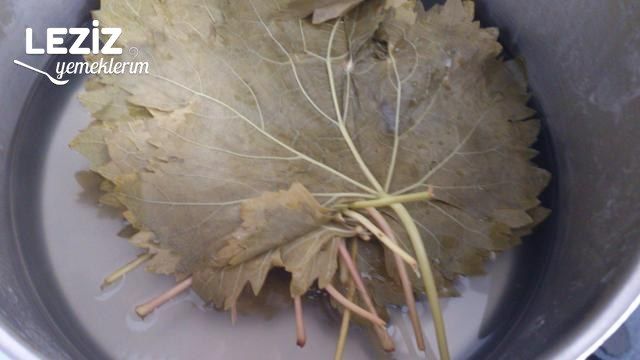 Derin Dondurucuda Asma Yaprağı Saklama