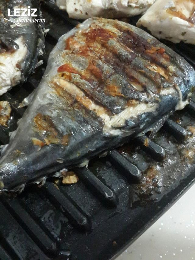 Tost Makinasında Palamut