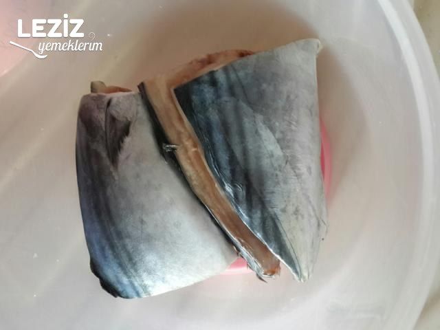 Tost Makinasında Palamut