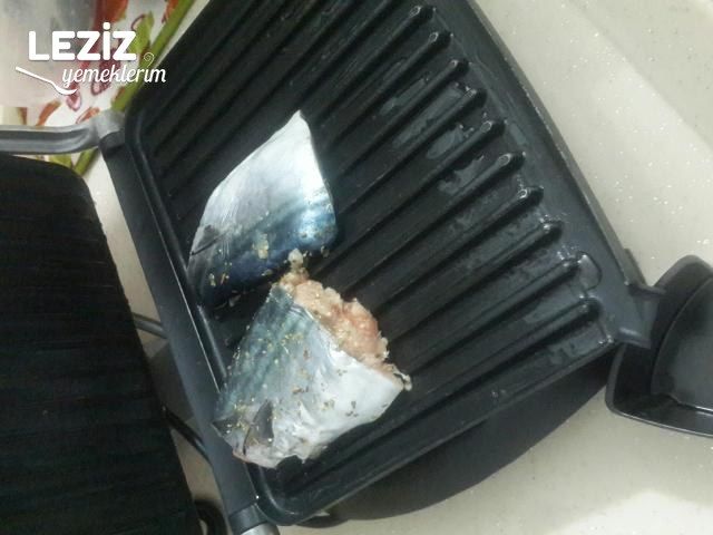 Tost Makinasında Palamut