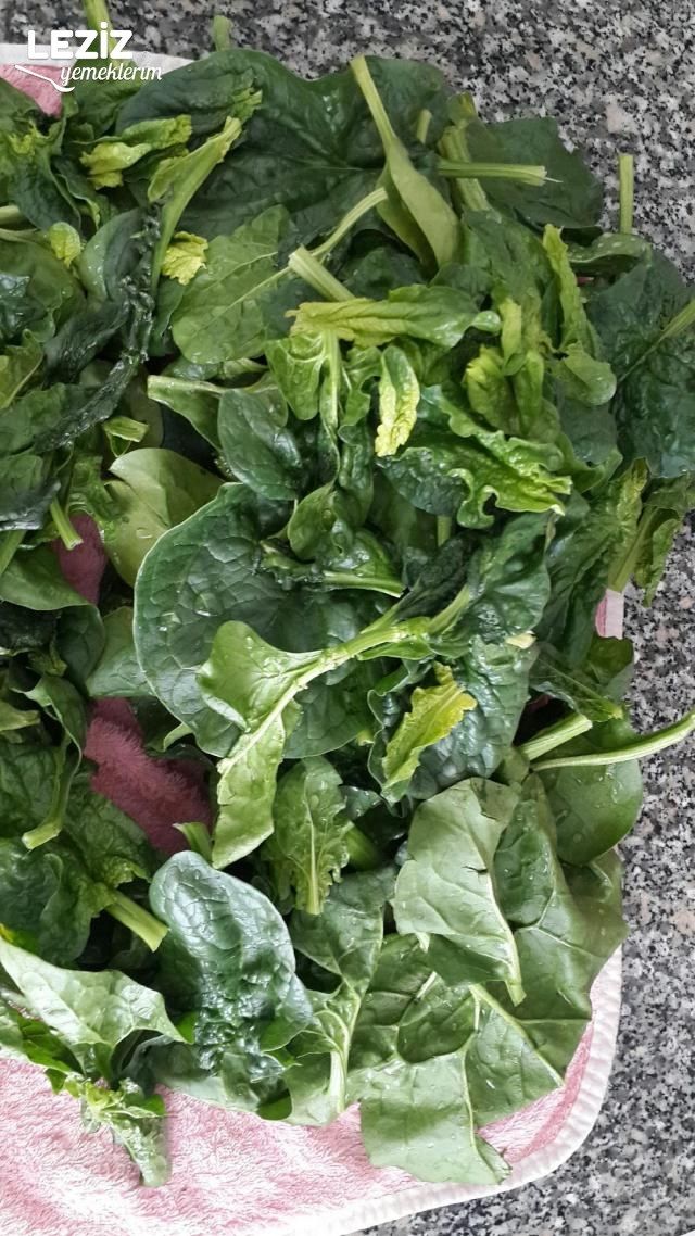 Terbiyeli Ispanak Çorbası