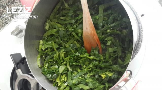 Ispanaklı Dolama Börek Tarifi