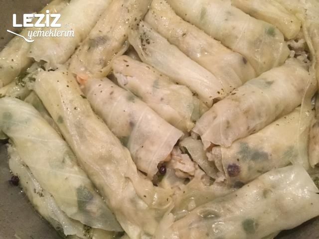 Zeytinyağlı Lahana Sarması Tarifi