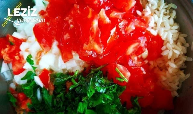 Pazı Yaprağı Sarması