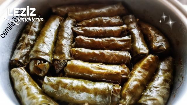 Pazı Yaprağı Sarması