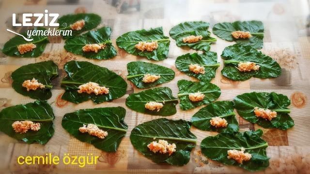 Pazı Yaprağı Sarması