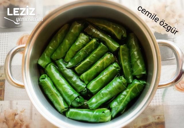 Pazı Yaprağı Sarması