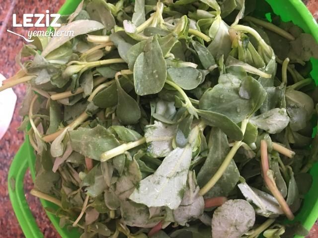 Zeytinyağlı Semizotu Yemeği Tarifi