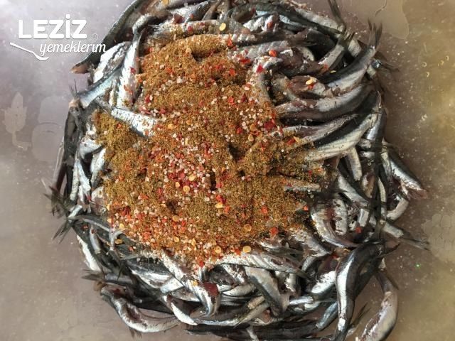 Çöp Şişte Hamsi Kızartma