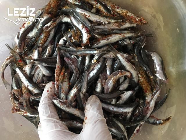 Çöp Şişte Hamsi Kızartma