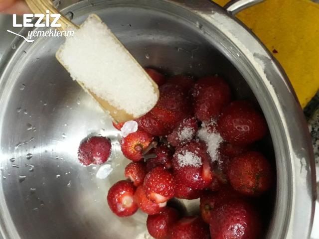 Çilek Kompostosu Nasıl Yapılır?