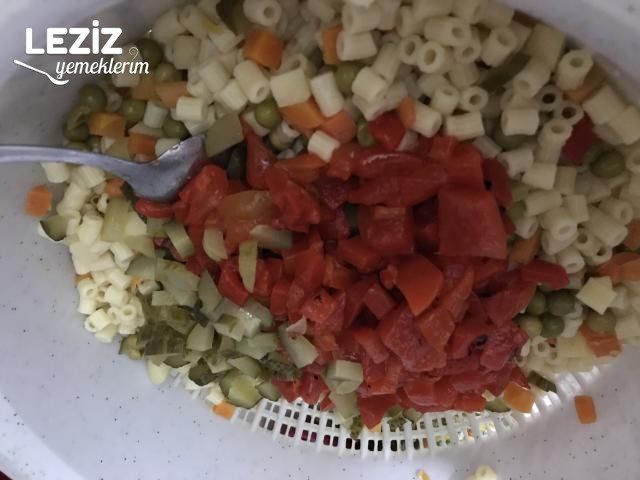 Bol Malzemeli Makarna Salatası