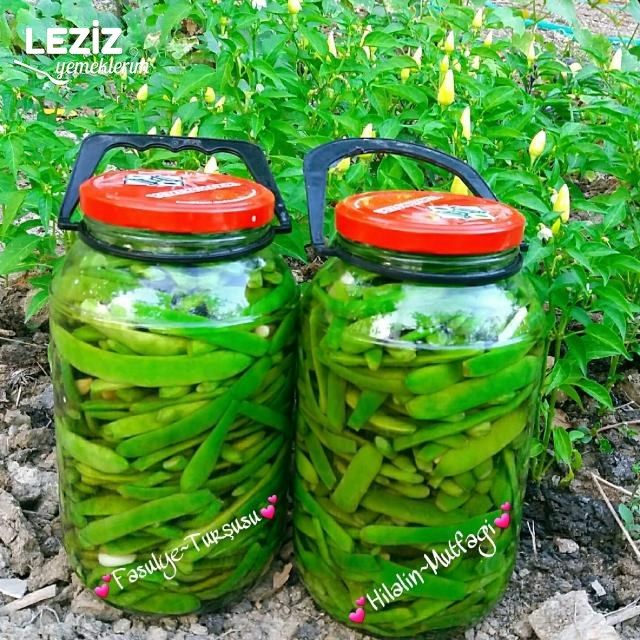 Fasulye Turşusu
