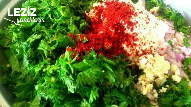 Isırgan Otlu Gözleme