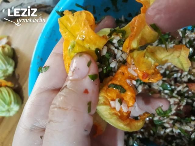 Nefis Kabak Çiçeği Dolması Tarifi