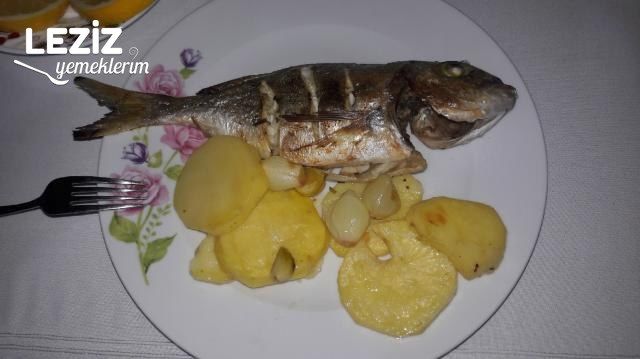 Nefis Fırında Çipura