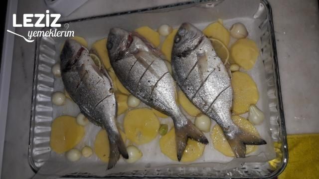 Nefis Fırında Çipura