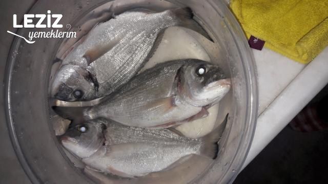 Nefis Fırında Çipura