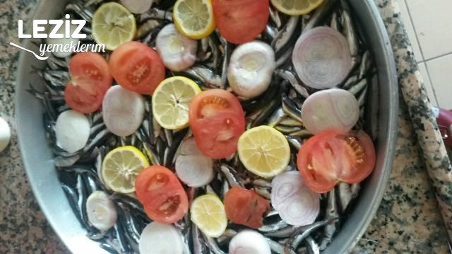 Izgara Tadında Fırında Hamsi