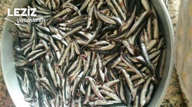 Izgara Tadında Fırında Hamsi