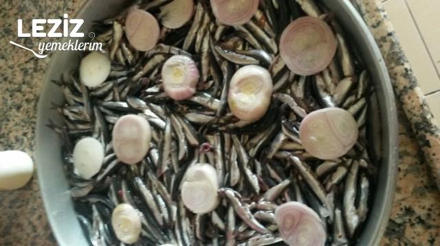 Izgara Tadında Fırında Hamsi