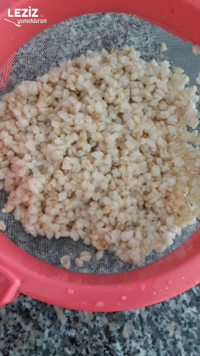 Yoğurtlu Soğuk Çorba