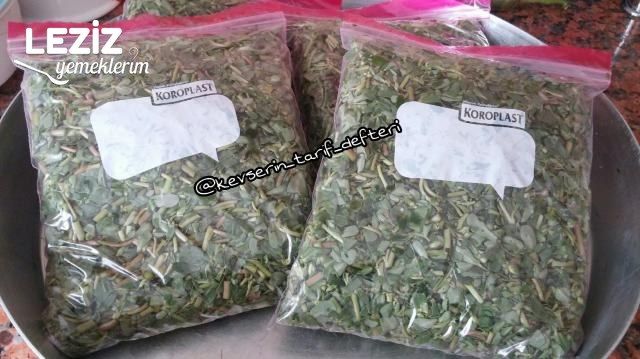 Dondurucuya Semizotu Konulması