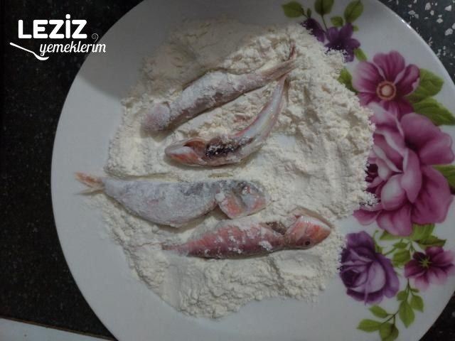 Tavada Tekir Kızartması