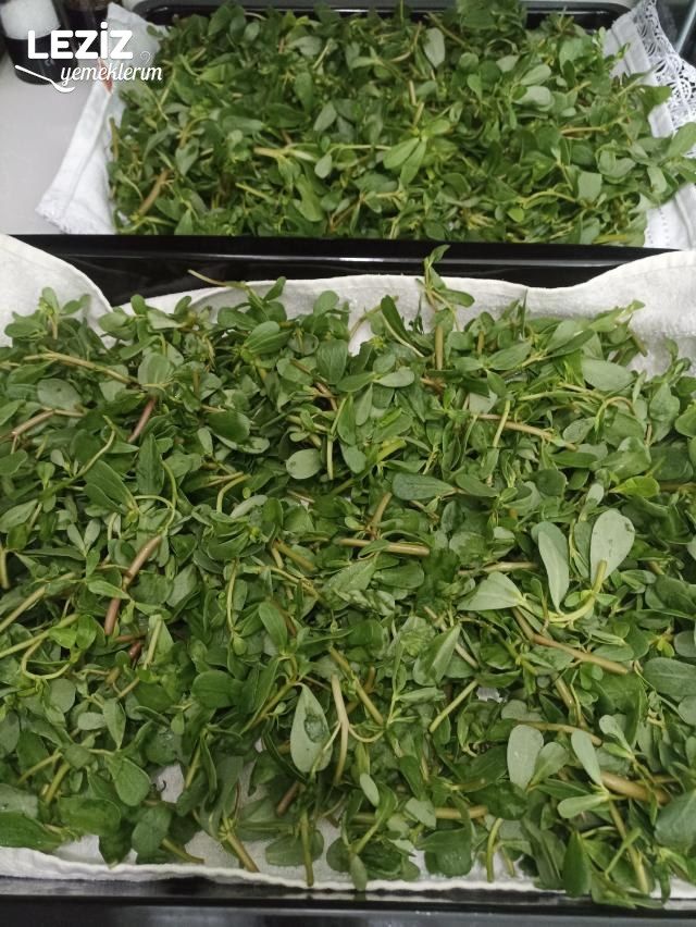 Dondurucuda Kışlık Semizotu Nasıl Hazırlanır