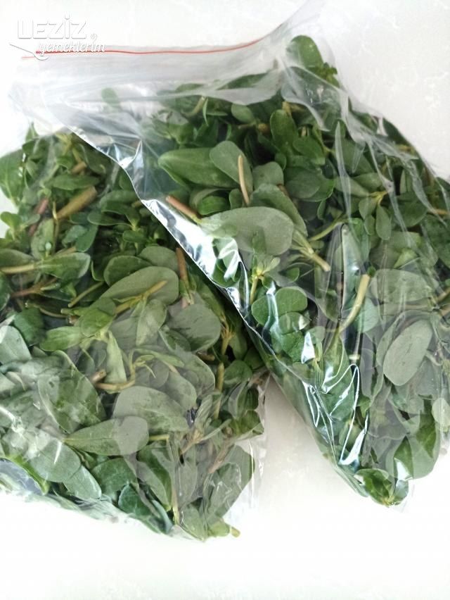 Dondurucuda Kışlık Semizotu Nasıl Hazırlanır